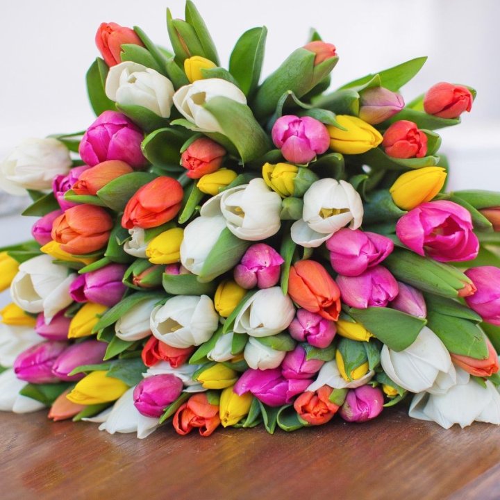79 тюльпанов "Рандом" в Владимире