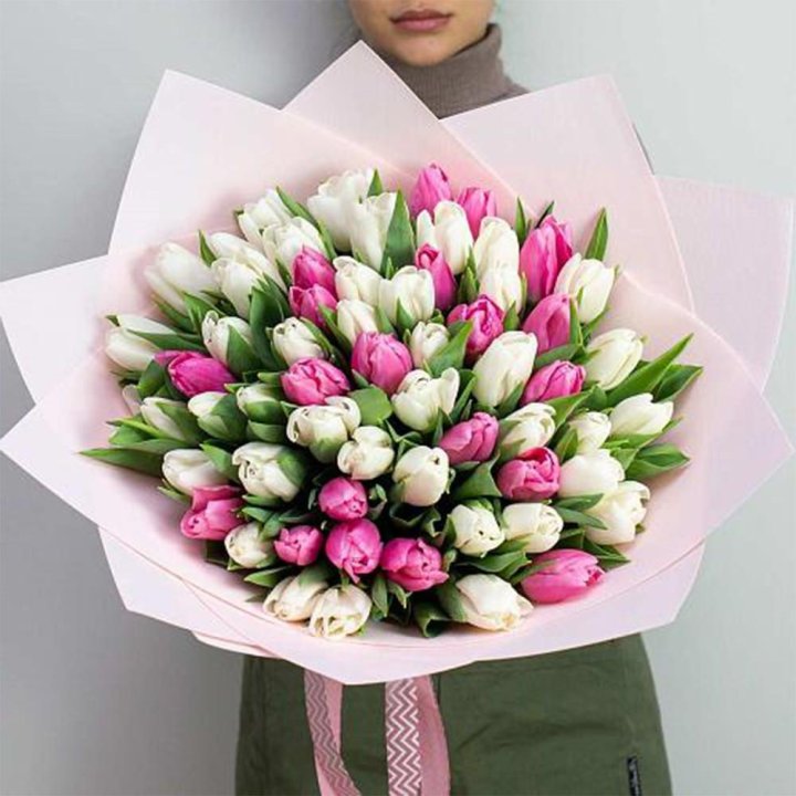 61 бело-розовый тюльпан в Владимире