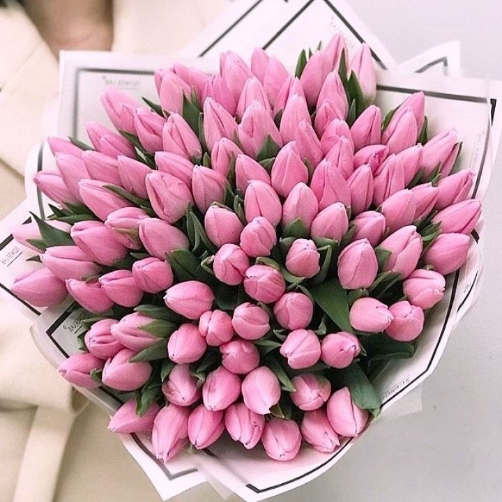 101 розовый тюльпан в белом в Владимире