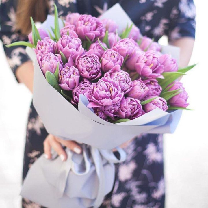 Тюльпаны "Пионс" в Владимире