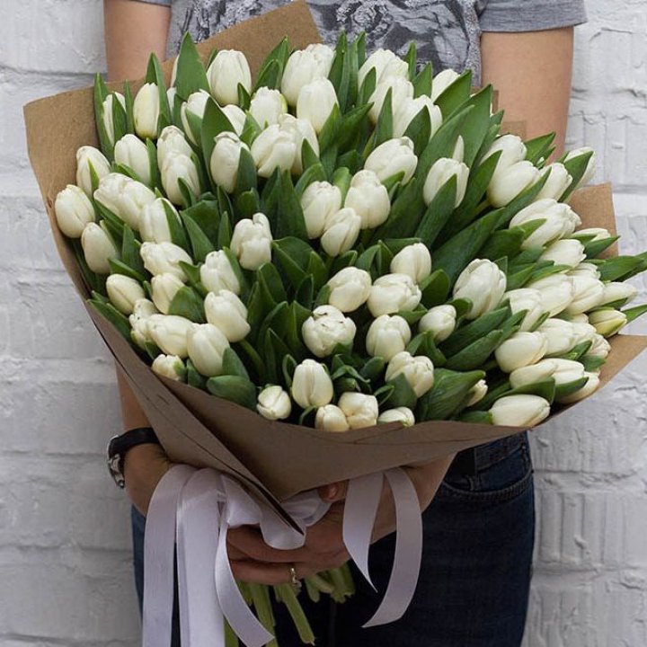 101 тюльпан сноу в Владимире