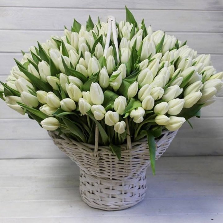 Корзина из 151 тюльпана в Владимире