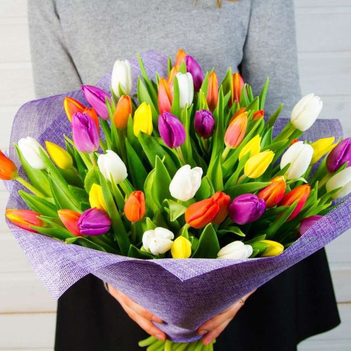 51 тюльпан "Рандом" №2 в Владимире